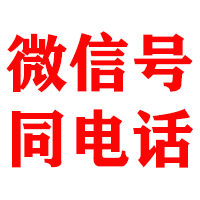 六安金鑫追账公司